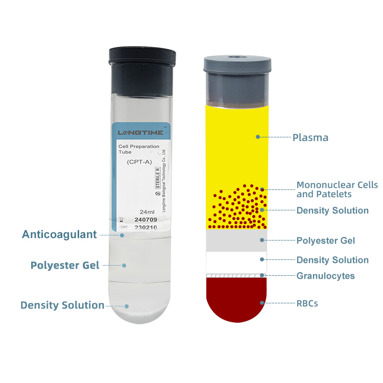 24ml CPT TubeLongtime Biological technology co., LTD